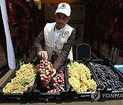 YEMEN FRUIT FAIR