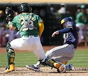 Brewers Athletics Baseball