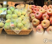 "제철 과일 저렴하게"…'익산몰' 명절맞이 기획전