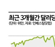 엔 다음은 위안화? 새로운 캐리트레이드 주목