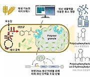 환경 문제 해결 생분해성 플라스틱, 미생물로 고효율 생산