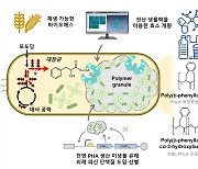 화석 연료 기반 플라스틱 대체 '방향족 폴리에스터' 고효율 생산 기술 개발