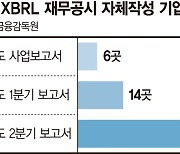 [fn마켓워치] XBRL 자체 공시 상장사 44곳으로 늘어