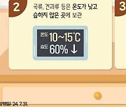 여주시, 하절기 다소비 유통식품 수거·검사 실시