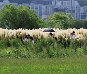 27일 전국 흐리고 곳곳 소나기… 낮 최고 33도·밤엔 더위 꺾여