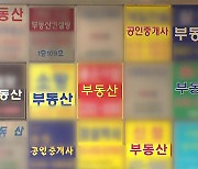 부동산 불법중개 근절…서울시, 매달 기획점검 실시