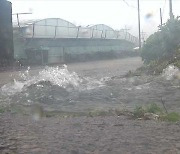 어제, 시간당 53mm 폭우에 물놀이 즐기던 레저객 17명 한때 고립