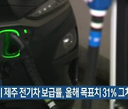 상반기 제주 전기차 보급률, 올해 목표치 31% 그쳐