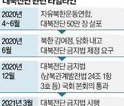 "대북전단 금지? 김여정 하명법" vs "주민안전 위해 필요"