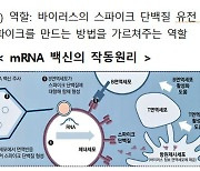 '팬데믹 대비 mRNA 백신 개발 지원사업' 예비타당성조사 면제