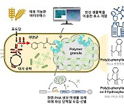 KAIST “미생물로 친환경 플라스틱 만든다”