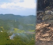 경북 의성 야산서 산불…'성묘객 실화' 등 원인 조사