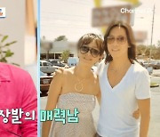 홍석천, "이승연 '♥사업가 남편', 내가 찜했던 남자…결혼 소식에 배신감 느껴" ('4인용식탁') [종합]