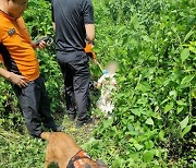 무더위 속 실종된 80대 치매 노인 구한 ‘전진’…119구조견 맹활약