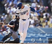 Rays Dodgers Baseball