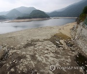 강릉시 상수원 저수율 29%…비와야 할 텐데