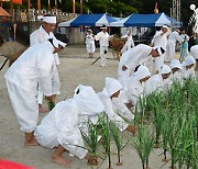 광주 서구 서창만드리 풍년제 "사방이 흥이로구나"