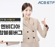 한투운용 "'ACE 엔비디아채권혼합블룸버그' 멀티에셋 ETF 중 수익률 1위"