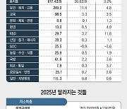 [2025예산]3대 게임체인저 R&D 27%↑…“저성과 사업 구조조정, 체질 개선”