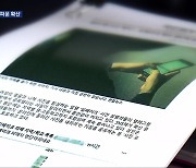 ‘딥페이크’ 공포감 확산…“우리 학교도?”