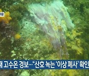 한 달째 고수온 경보…“산호 녹는 ‘이상 폐사’ 확인”