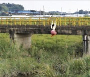 불안에 익숙해진 청춘 작가들…끈질기게 매달린 모습을 담다