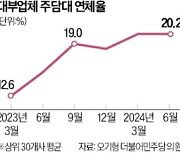 치솟는 대부업 주담대 연체율…상반기 20% 넘었다