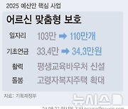 어르신 일자리 110만개 공급…기초연금 1만원 인상한 34.3만원[2025 예산안]