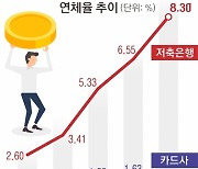 카드사 연체율도 10년 만에 ‘최고’… 연체율 늪에 빠진 한국