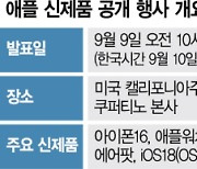 아이폰16, 한국서도 '1차 출시' 유력