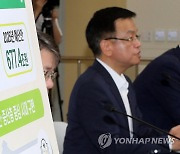 2025년 예산안 설명하는 최상목 부총리