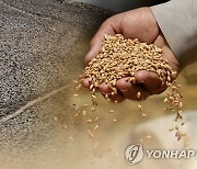 韓 주요곡물 90% 이상 수입 의존…日·中보다 식량안보지수 낮아