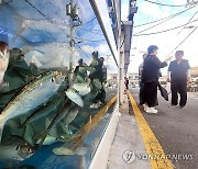 부산 명지시장 전어축제 개막