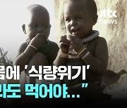 나미비아, 최악의 가뭄에 '식량 위기'...코끼리고기 배급키로