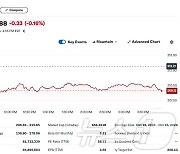 테슬라 1.88%-루시드 3.52%, 리비안 제외 전기차 일제↓(상보)