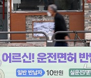 "노인 교통사고 절반 이상, '고령 운전자'가 운전하다 냈다"