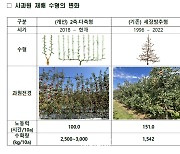 사과 ‘평면형’ 재배 체계 전환 추진…“생산 2배 높고, 노동력은 3분의 1 감소”