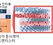 차세대 인메모리 컴퓨팅 가능한 화합물반도체 신소재 개발