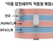 납 쓰지 않는 `친환경 압전소재`…고감도 센서·압전 부품 등에 활용