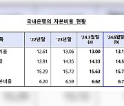 국내은행 BIS 자본비율 0.13%p 상승…“순이익 증가 영향”