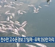 천수만 고수온경보 27일째…우럭 350만 마리 폐사