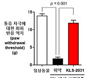 코오롱생명과학, 암스테르담 열린 국제통증학회서 포스터발표