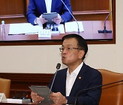 최상목 “전자지급결제대행사 자본금 규모 상향…조치 근거 마련"