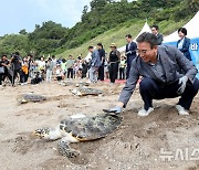 바다거북 배웅하는 오순문 서귀포시장