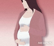 "1억4천만원에 아기 낳아준다"…불법 대리모 실험실에 中 발칵