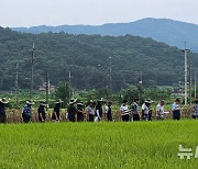 여주시, 여주쌀 대표 품중 발굴한다…현장 평가회