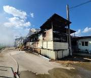 용인 돼지 농장서 불…폐사 1천 마리 육박