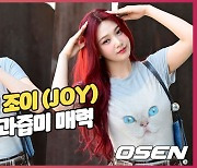 레드벨벳 조이,'빨간 맛' 과즙미 매력 [O! STAR]