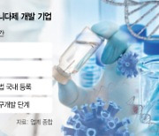 "알테오젠 넘자"···불붙은 피하주사 제형 개발경쟁