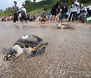 고향 앞으로